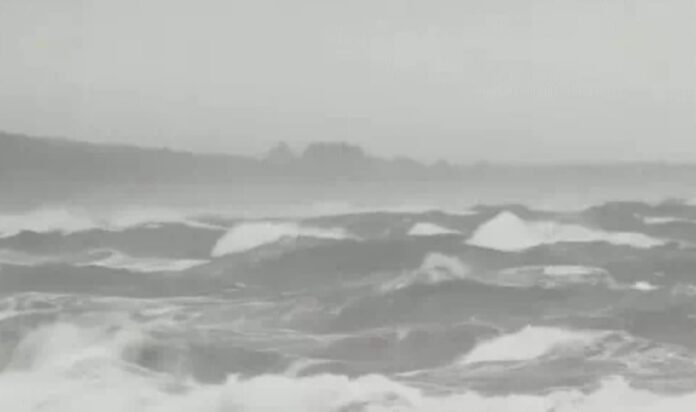 92445b2c-448c-469a-833f-cba31b451933